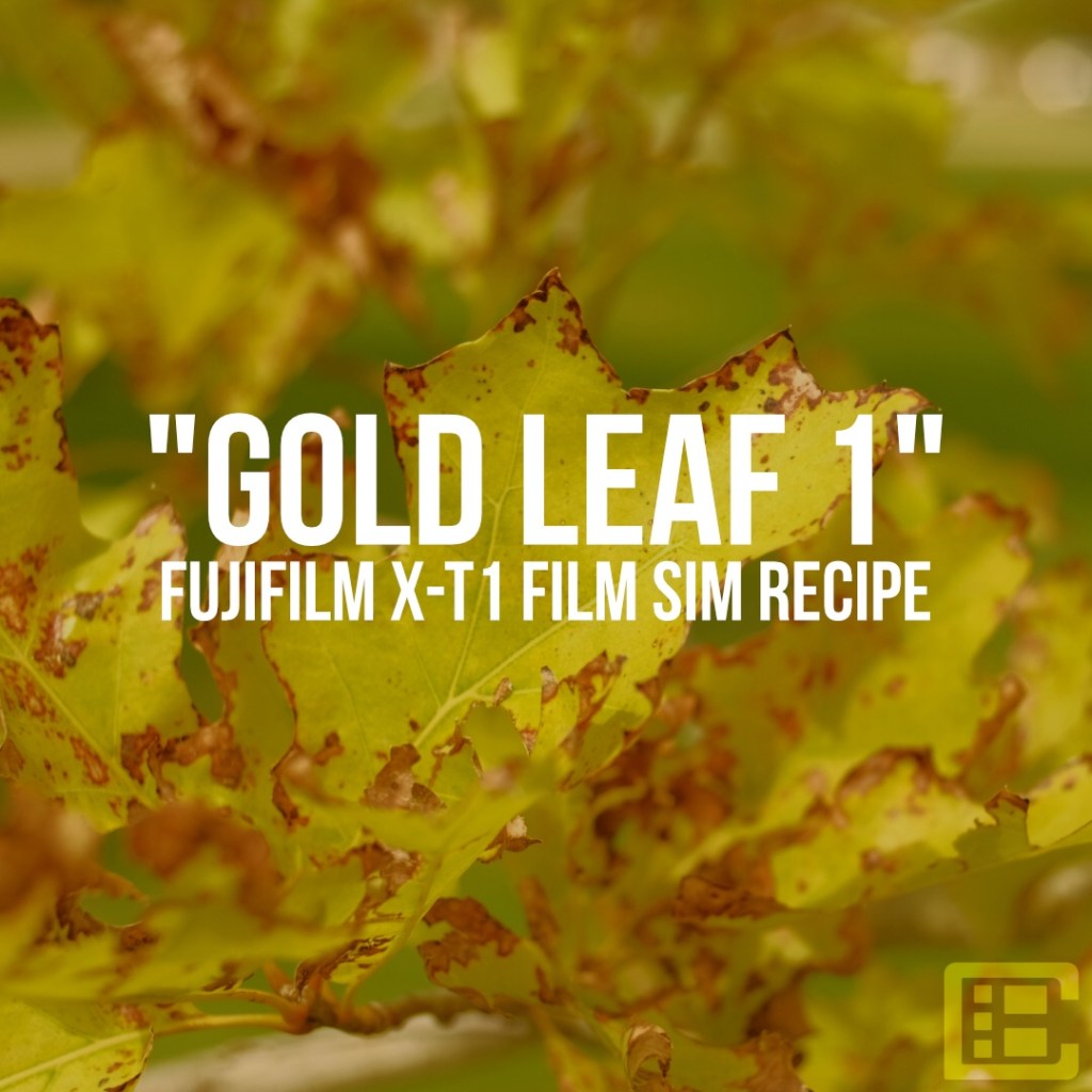 “GOLD LEAF 1” – A Fujifilm X-T1 Film Simulation&nbsp;Recipe