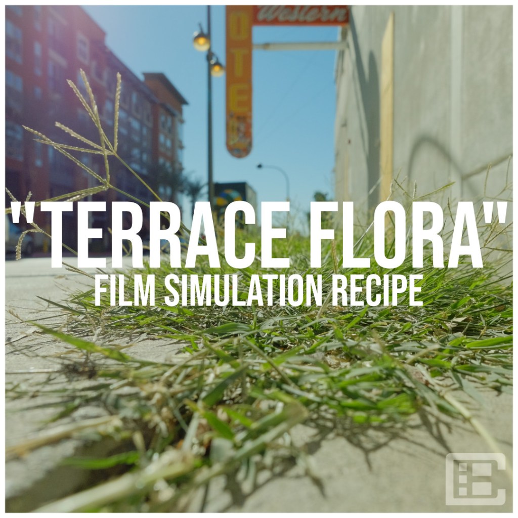 “TERRACE FLORA” – Street Photography Recipe for the&nbsp;X-T1